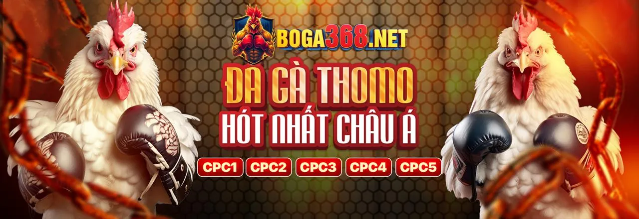 Tham gia chương trình đối tác agbong88